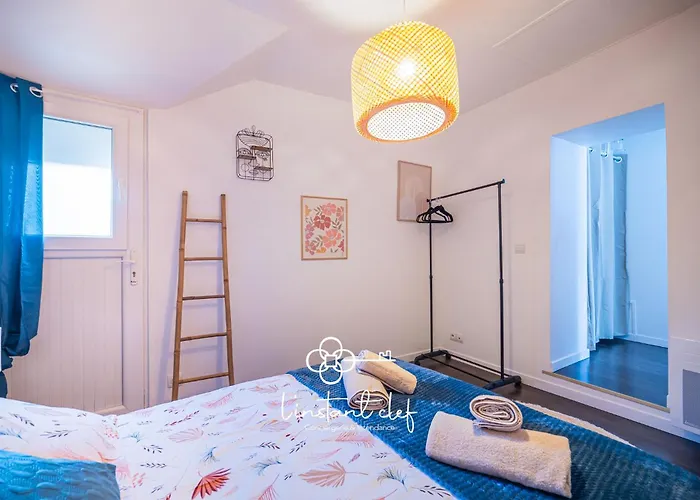 Proche Tram&centre Idéal Duo Et Ou Pro Le Mans